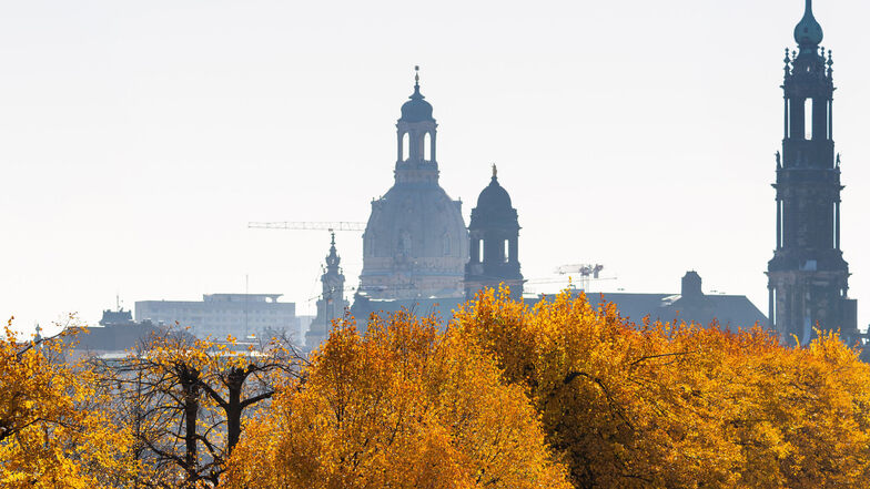 Dresden erlebt derzeit den goldenen Herbst.