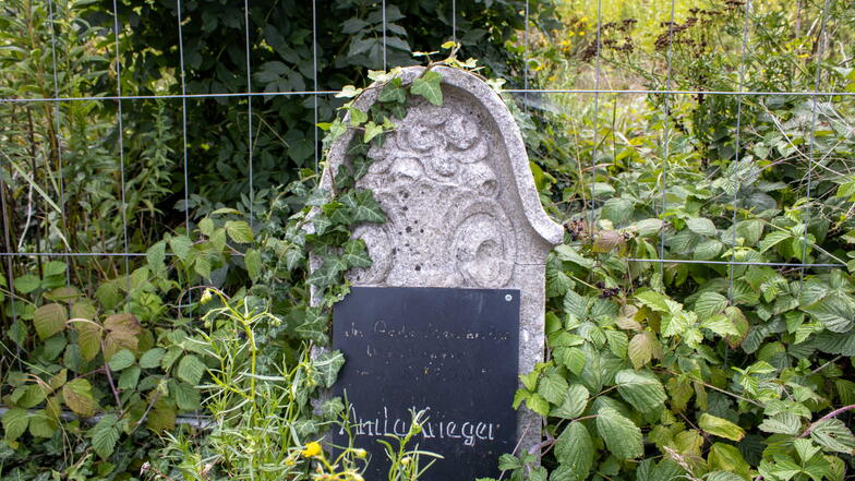 Der Gedenkstein für die von herabfallenden Trümmern erschlagene Anita Krieger ist stark zugewachsen. Er befindet sich an der Bushaltestelle nahe dem Lidl an der B172 in Pirna.