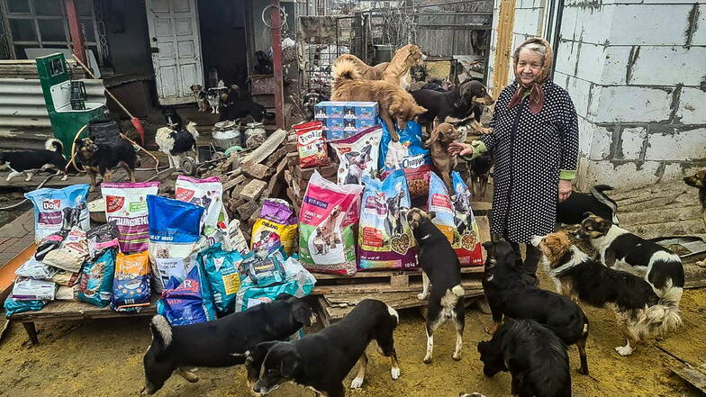Trotz Krieges finden sich Ukrainer, die sich um besitzlose Tiere kümmern. Für sie sind die Spenden bestimmt, die unter anderem auch in Leisnig angenommen werden.