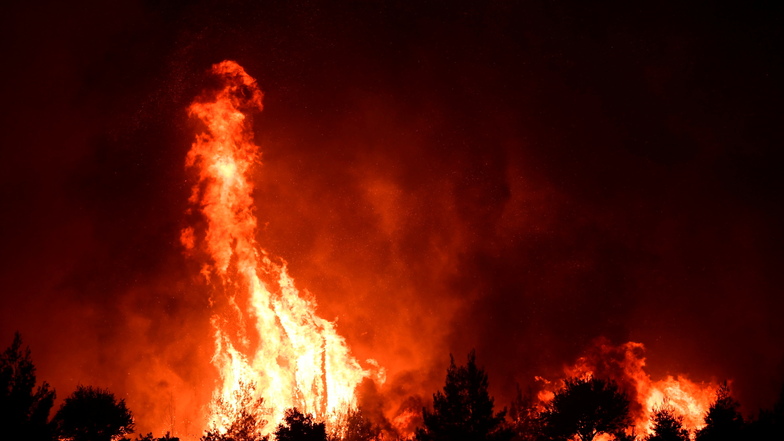 Flammen verbrennen einen Wald in der Nähe des Dorfes Galatsona auf der Insel griechischen Insel Euböa.