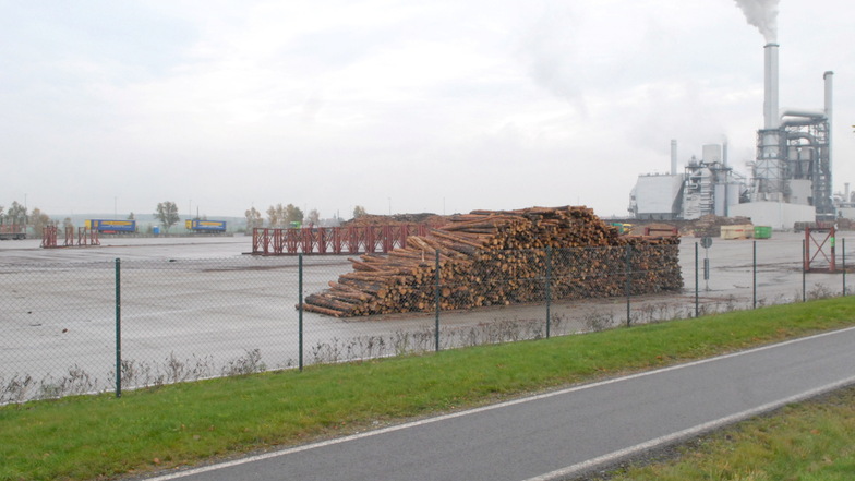 Der Holzlagerplatz der Kronospan GmbH Lampertswalde ist fast leer. Allerdings ist das Foto aus dem Jahr 2008, als das Unternehmen auf Reserven zurückgegriffen hat, um auf günstigere Verträge zu warten.