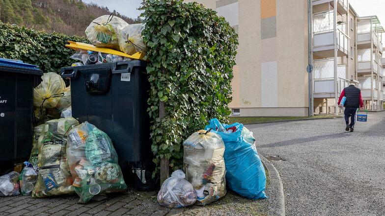 Seit Mitte Dezember nicht geleert: In Hainsberg und nicht nur dort sind die Müllplätze überfüllt.