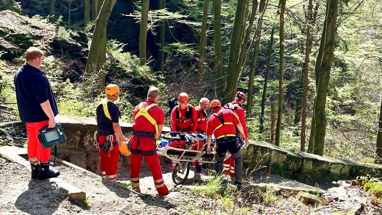 Hilfe per Radtrage: Einsatzkräfte der Bergwacht haben einen 80-Jährigen bei Schmilka gerettet.