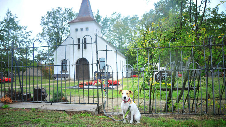 Liese zeigt schon mal die neue Friedhofsordnung. Die besagt: Hunde müssen draußen bleiben.