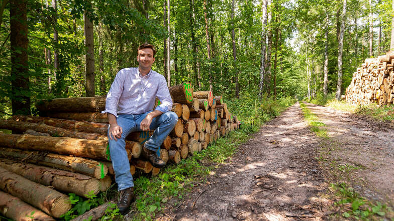 Johannes von Hertell bewirtschaftet 600 Hektar Wald. Damit ist er einer der größten Privatwaldbesitzer im Landkreis Sächsische Schweiz-Osterzgebirge.