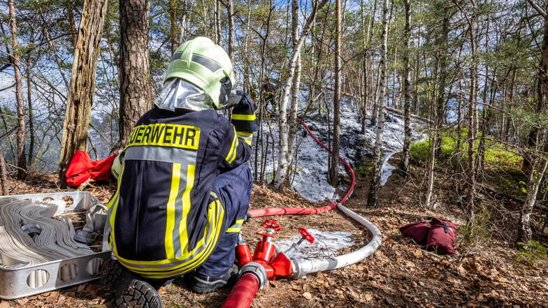 Waldbrandgefahr steigt: Zweithöchste Gefahrenstufe im Norden Sachsens ausgerufen