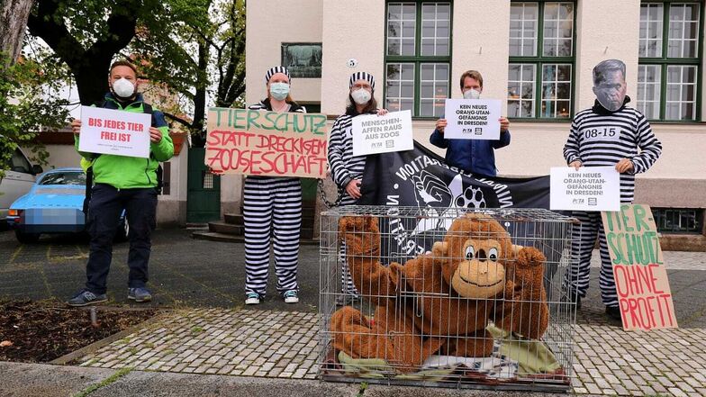 Ein Aktivist in einem Affenkostüm ließ sich in einen Käfig sperren