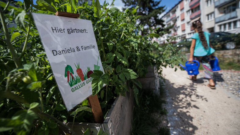 Beliebtes Urban Gardening wie das Projekt "Gallup-Garten" mitten in Frankfurt/Main soll durch das Waldgärtnern erweitert werden.