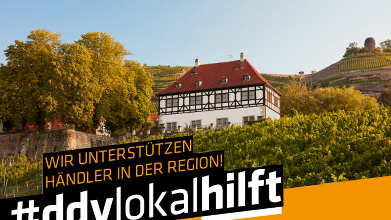 Das Weingut Hoflößnitz ist das erste zertifizierte biologische Weingut der neuen Bundesländer.