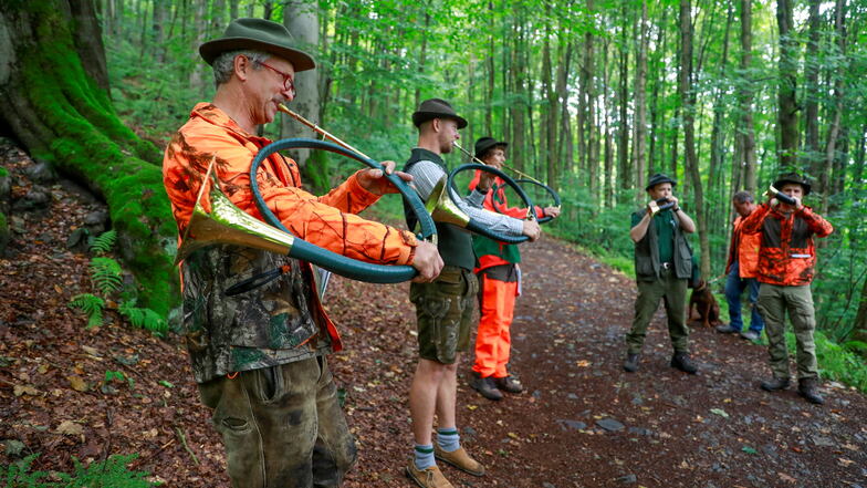 Die Gruppe Jagdhornbläser Oberlausitz bläst auf dem Weg zur Lausche immer wieder Jagdlieder für die Wanderer, die ebenfalls unterwegs waren.