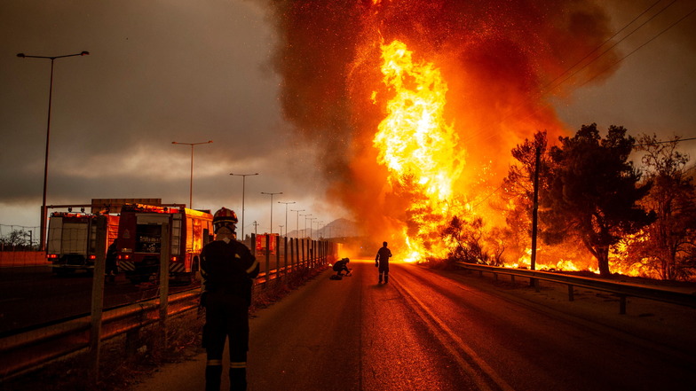 Griechenland, Afidnes: Feuerwehrleute bekämpfen einen Waldbrand etwas nördlich von Athen.