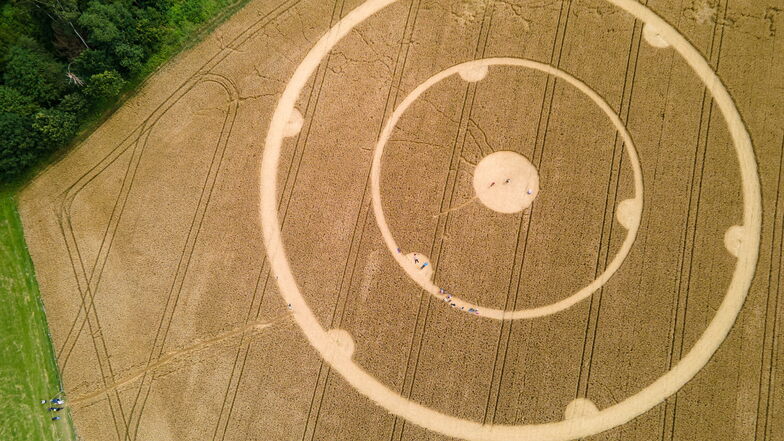 Die Kreise wurden am Wochenende entdeckt.