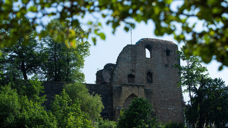 Die Burgruine Tharandt ist eine von fünf künstlichen Ruinen, die wir ausfindig gemacht haben.
