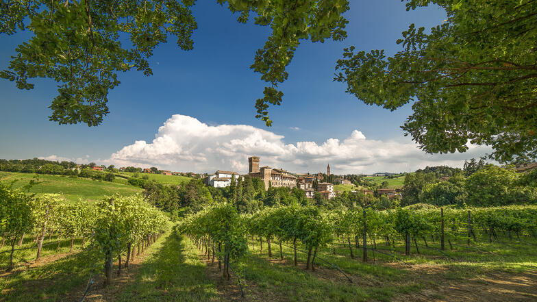 Schloss Levizzano Rangone