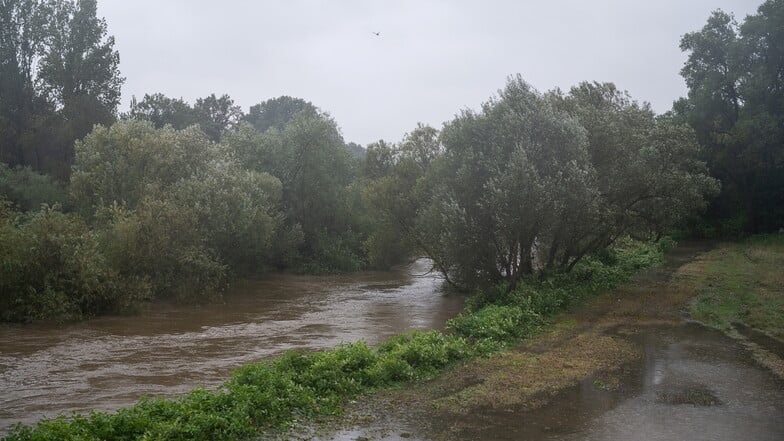 Auch zwischen Hagenwerder und Radomierzyce in Polen ist die Neiße über die Ufer getreten.