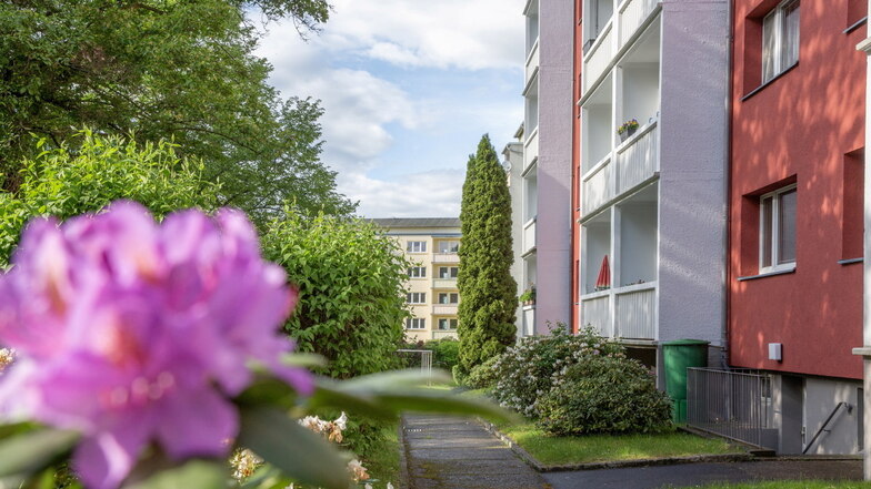 Welche Ideen haben die Spitzenkandidaten zur Stadtratswahl in Kamenz zum Thema Wohnen, etwa zur Entwicklung des Viertels Kamenz-Ost? Sächsische.de hat nachgefragt.