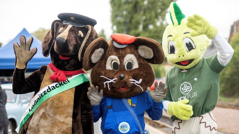 Großes Treffen zum Jubiläum: Maskottchen Dackel von der Lößnitzgrundbahn, Klaus von der Parkeisenbahn Chemnitz und Jolinchen von der AOK im Bahnhof in Moritzburg.