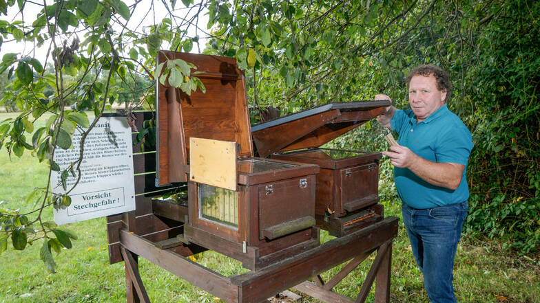 Das Leben und Arbeiten von Bienen kann man an der Oberrammenauer Straße aus nächster Nähe betrachten. Der Schutz und die Pflege von Bienenvölkern ist gelebter Naturschutz, sagt Schaubienenstand-Betreuer Jürgen Platz.