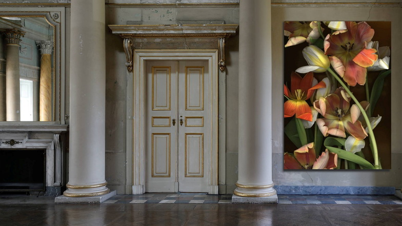 Im Kuppelsaal des Neuen Palais in Pillnitz bezaubern die gigantischen Tulpen-Scans von Luzia Simons.