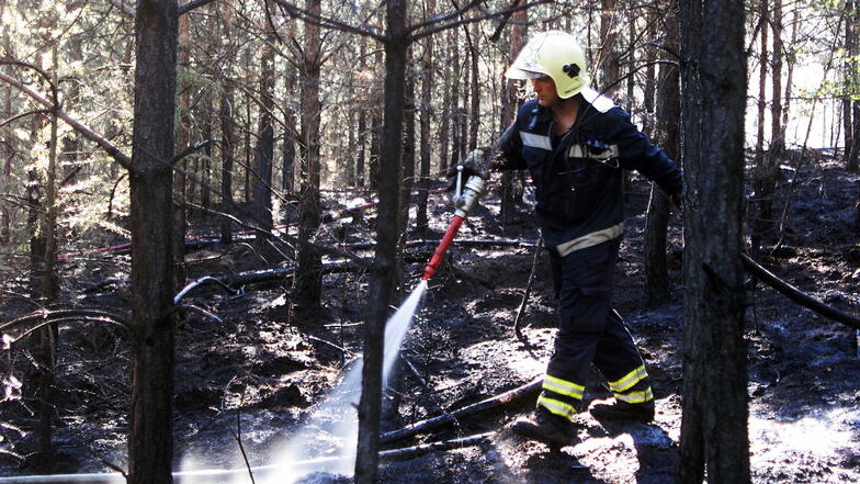 Die Dresdner Feuerwehr warnt vor einer hohen Waldbrandgefahr am Wochenende.