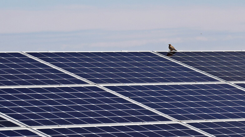 Räte machen Weg für Solarparks in Riesa frei