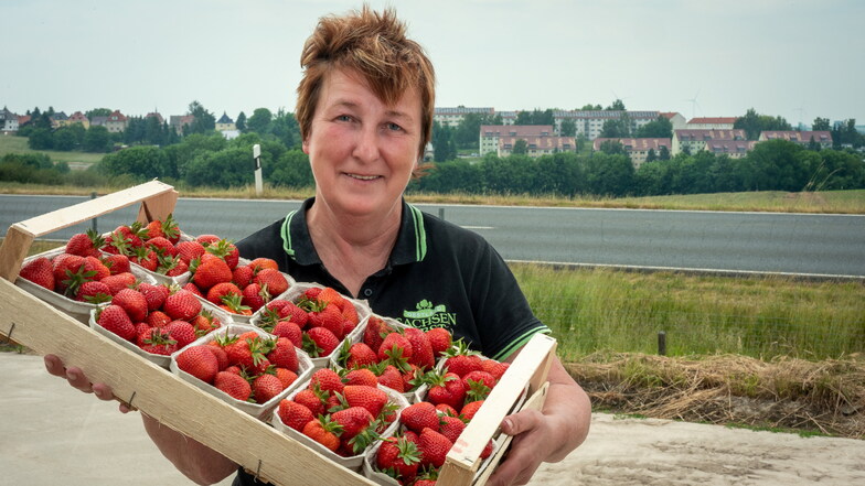 Manuela Göbel verkauft am Stand zwischen Leisnig und Minkwitz Erdbeeren von den Obstland-Feldern.