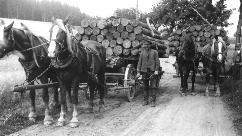Der Geschirrführer Oswald Glöckner aus Reichenau im Osterzgebirge verblutete im Jahr 1932, als ihm der Haken einer Eisenringkette das Bein aufriss. Sein Sohn (hinten rechts) hatte ihm noch Erste Hilfe geleistet.