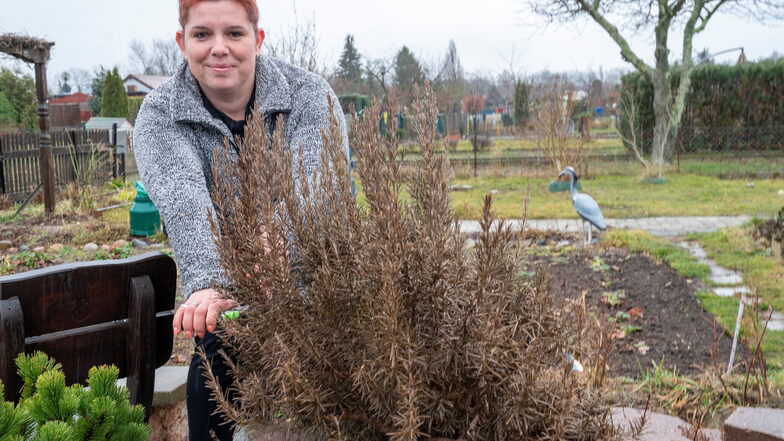Alexandra Steiner ist die Vereinsvorsitzende in der Sparte Reiter am Stadtpark. Dort konnte sie im vergangenen Jahr mehr als 50 neue Gartenfreunde begrüßen.
