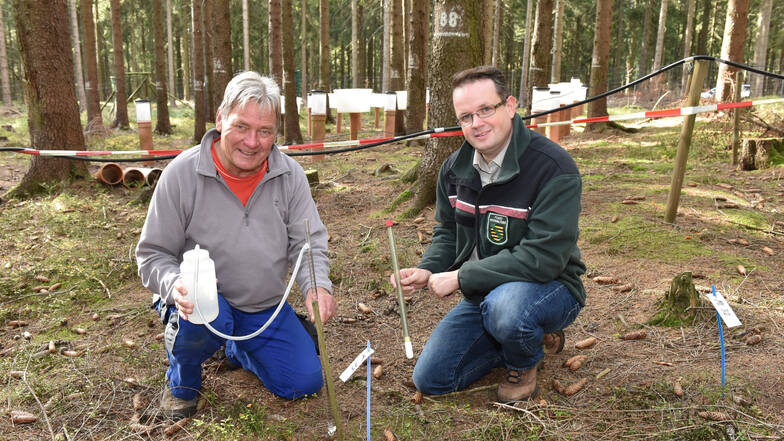 Klimabeobachter Thomas Schmid (li.) und Frank Jacob vom Staatsbetrieb Sachsenforst sammeln Messergebnisse auf der Untersuchungsfläche bei Waldidylle.