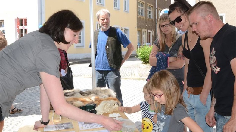 Viel Wissenswertes über den Wolf gab es am Informationsstand des Kontaktbüros "Wölfe in der Lausitz".