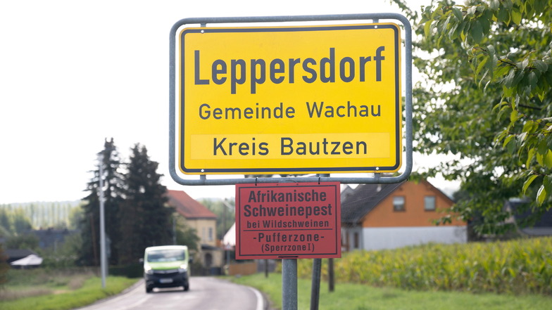 Leppersdorfer Grundschule sammelt Geld für "grünes Klassenzimmer"
