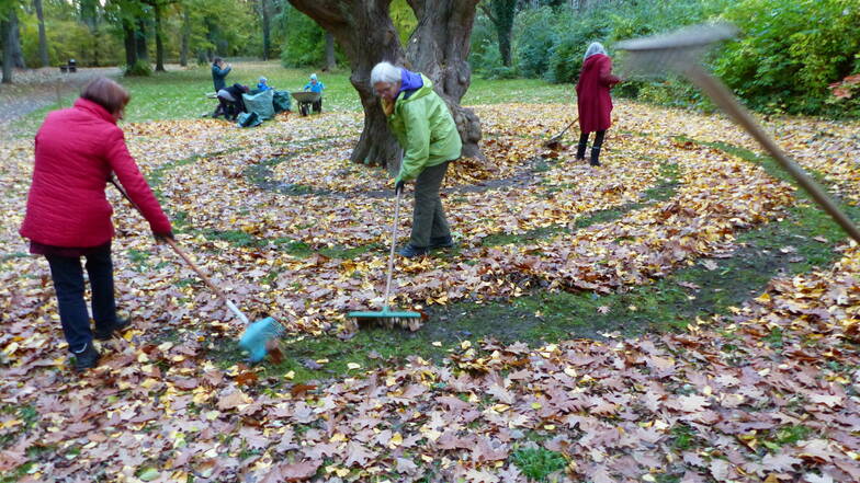 Rechen-Künste der anderen Art: Frauen aus der Lebens(t)raum-Gemeinschaft rechen im Schlosspark Jahnishausen eine Spirale um einen einzigartigen Baum.