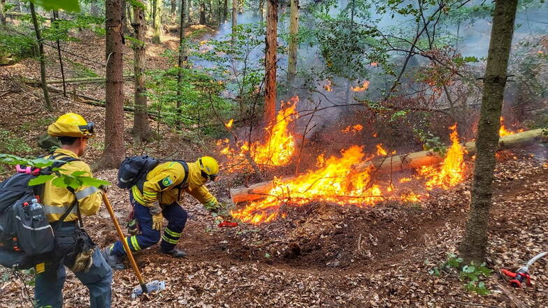 Mitglieder des Vereins @fire bekämpfen in besonders unwegsamen Gebieten den brennenden Wald der Sächsischen Schweiz.