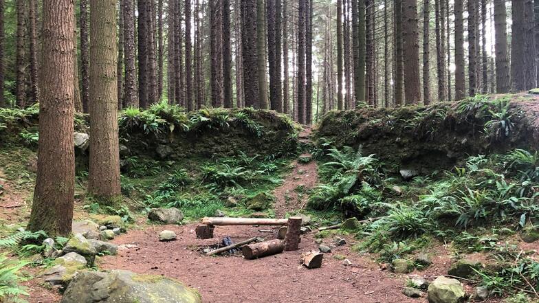 Im Tollymore-Forest wurde hier eine Szene aus der 1. Folge der 1. GoT-Staffel gedreht.