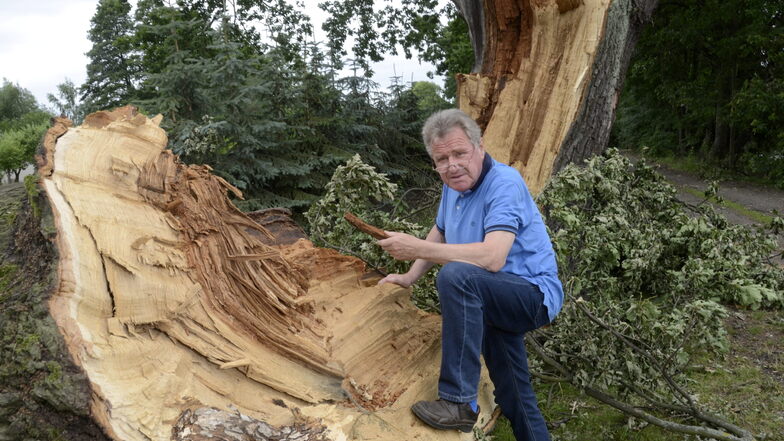 Als der Sturm 2017 wieder in Schönfeld einmal gewütet hatte und zwei riesige Eichen - beide Naturdenkmale - umgefallen waren, machte sich der Verwaltungschef gleich selbst ein Bild.
