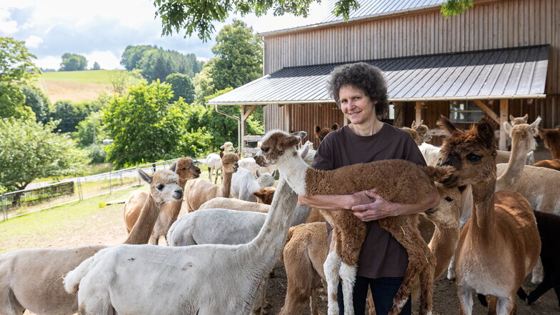 Martina Hofmann vor dem Stall vom Hof "Alpaka Glück" mit dem wenige Tage alten Fohlen, einer neugierigen Alpakaherde und Lieblingsalpaka Jakana (r).