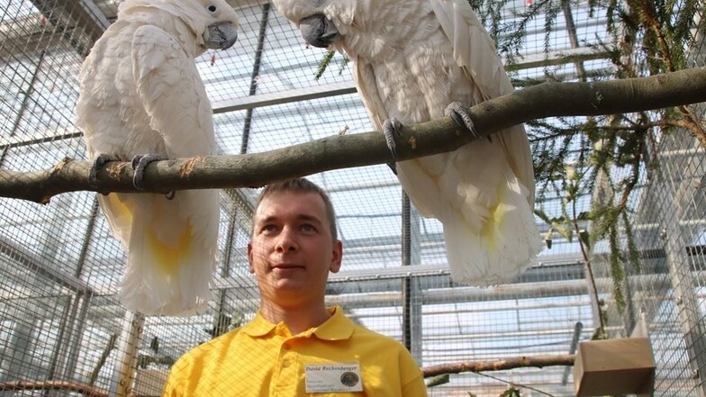 Auch Züchter wie David Rechenberger bewunderten die Vielfalt der Ausstellung. Weißhaubenkakadus sind selten.