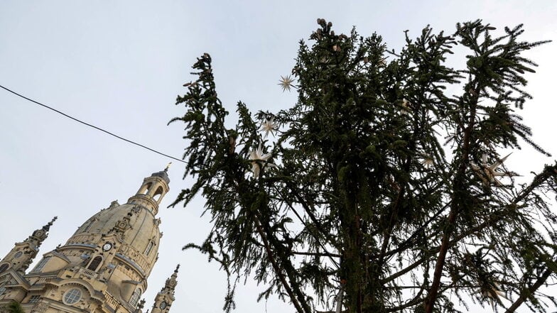 So reagiert das Netz auf den hässlichen Weihnachtsbaum in Dresden