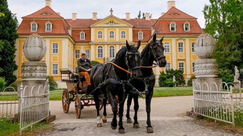 In diesem Jahr wollte Friedrich Hartmann zum letzten Mal bei der Rammenauer Schlossrundfahrt dabei sein. Eine Proberunde hatte er mit Kutsche und Pferden schon gedreht.