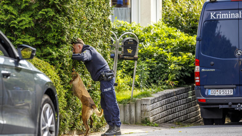 Lokalfoto des Jahres, Platz 1, fotografiert von Eric Münch: Die Kriminaltechnik untersuchte im Mordfall Wiktoria T. das Haus eines Tatverdächtigen. Auch in der Hecke suchten Spürhund und Polizist nach der Mordwaffe.