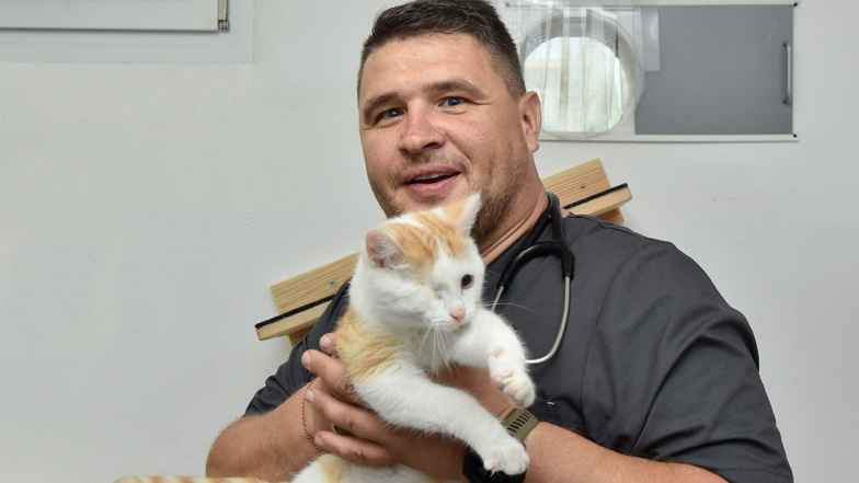 Er ist der Arzt vom Freitaler Tierheim: Thomas Kießling (44) aus Possendorf, hier mit einem Ex-Patienten. Durch Katzenschnupfen hat der Kater ein Auge verloren.
