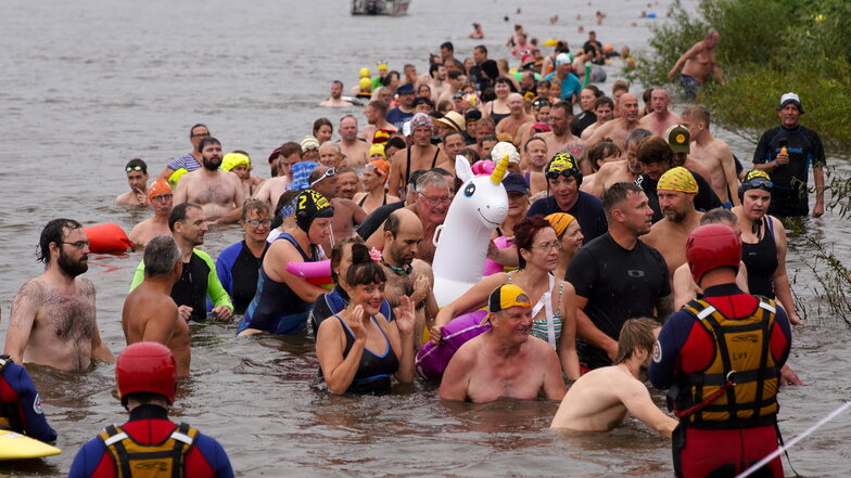 Mehr als 800 Teilnehmer schwammen am Sonntag durch die Elbe.