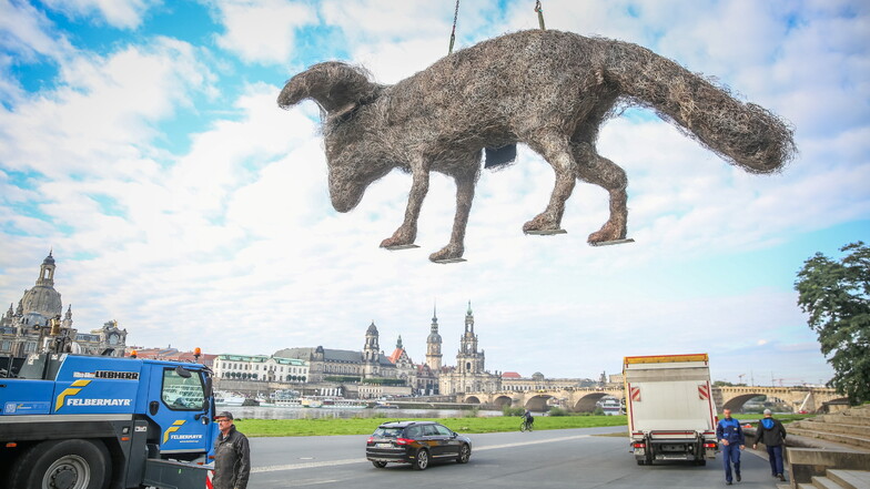 Die Hunde-Skulptur war am im September per Schiff in Dresden angekommen.