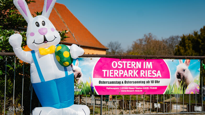 Schaut zu Ostern mit euren Kids im Tierpark Riesa vorbei und verbringt einen schönen Familiennachmittag!
