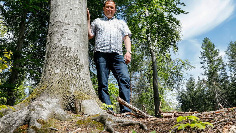 Förster Tilo Freier macht sich Sorgen um die Wiederaufforstung der vom Borkenkäfer dezimierten Oberlausitzer Wälder.