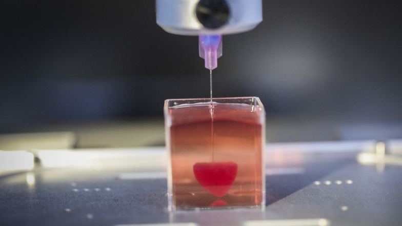 Ein 3D-Drucker druckt ein Herz mit menschlichem Gewebe.