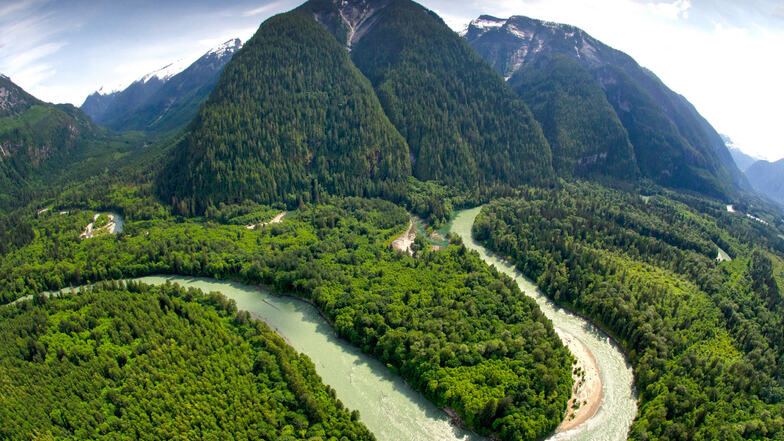 Der Regenwald Toba River-Tal an der Westküste Kanadas ist für die Dresdner Stiftung Wilderness International die "Lunge des Planeten" wegen der hohen Bindekraft von CO2.