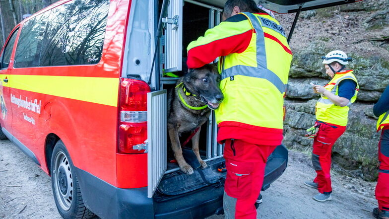 Nach neun Stunden Suche: Rettungshund findet vermissten Fünfjährigen in der Sächsischen Schweiz