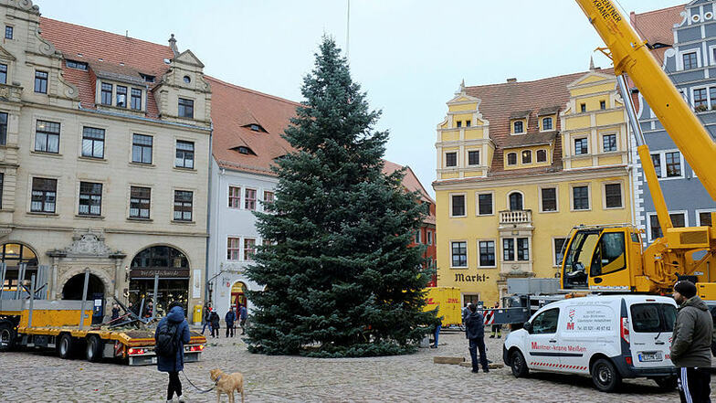 Das Aufstellen des Weihnachtsbaumes im letzten Jahr.