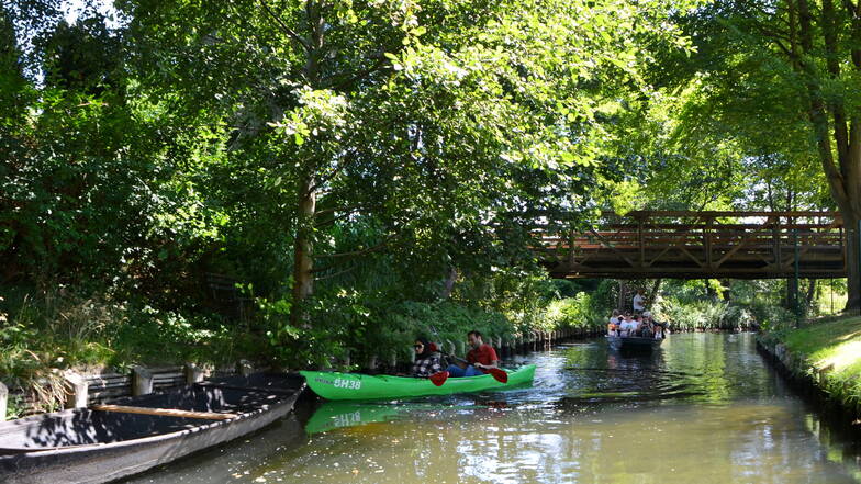 Kahnfahrten im Spreewald sind beliebt. Nun ist das Angebot offenbar zum Zeigen rechtsextremer Umtriebe missbraucht worden.